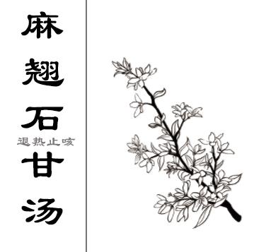 刘弼臣 麻翘石甘汤
