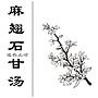 刘弼臣 麻翘石甘汤